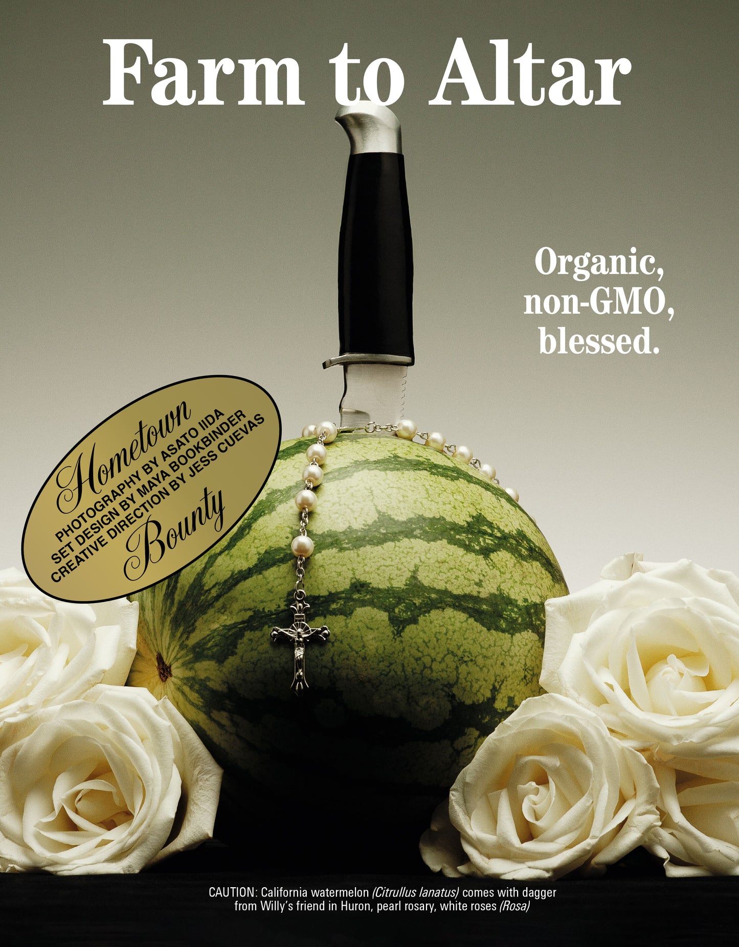 A Magazine Curated By Willy Chavarria