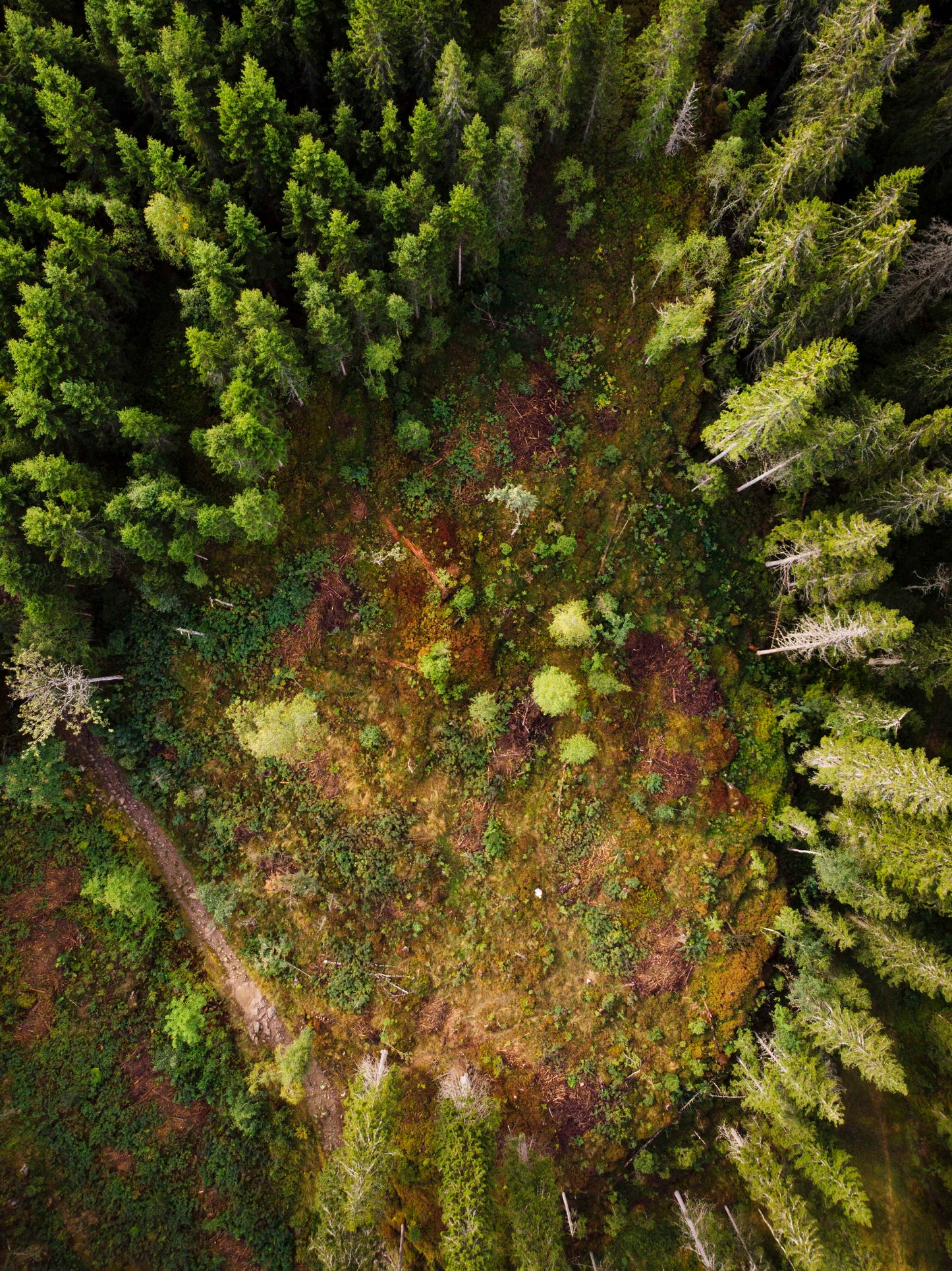 Futura Proxima Curated For Gucci